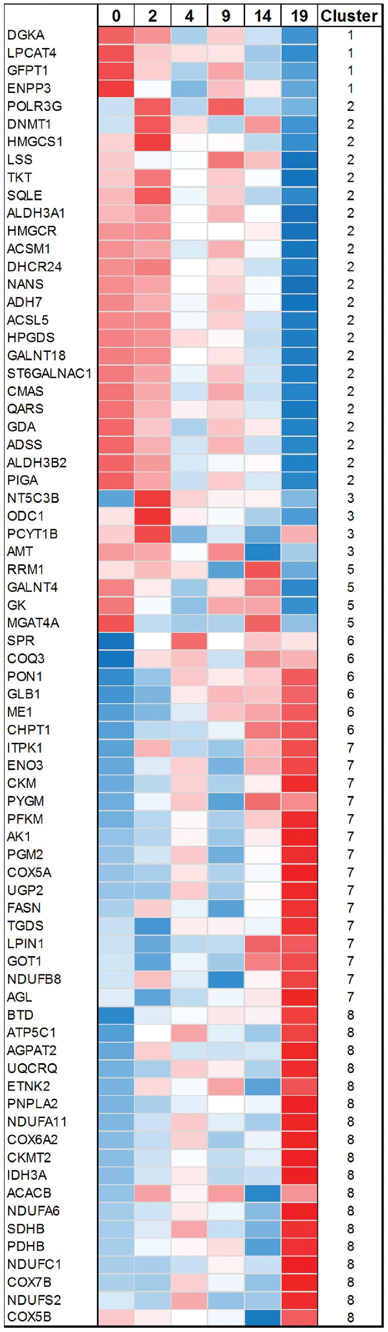 https://cdn.ncbi.nlm.nih.gov/pmc/blobs/dfbc/7405837/eec50d4365ca/iovs-61-5-49-f003.jpg