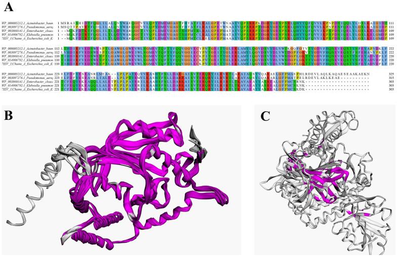 https://cdn.ncbi.nlm.nih.gov/pmc/blobs/dfbc/9926382/3d2a4ff767b1/10.1177_11779322231152980-fig2.jpg