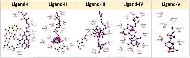 https://cdn.ncbi.nlm.nih.gov/pmc/blobs/dfbc/9926382/e5a6b1d5e67b/10.1177_11779322231152980-fig3.jpg