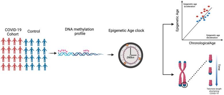 https://cdn.ncbi.nlm.nih.gov/pmc/blobs/dfbf/11197383/1a2ff8961b78/fimmu-15-1399676-g001.jpg
