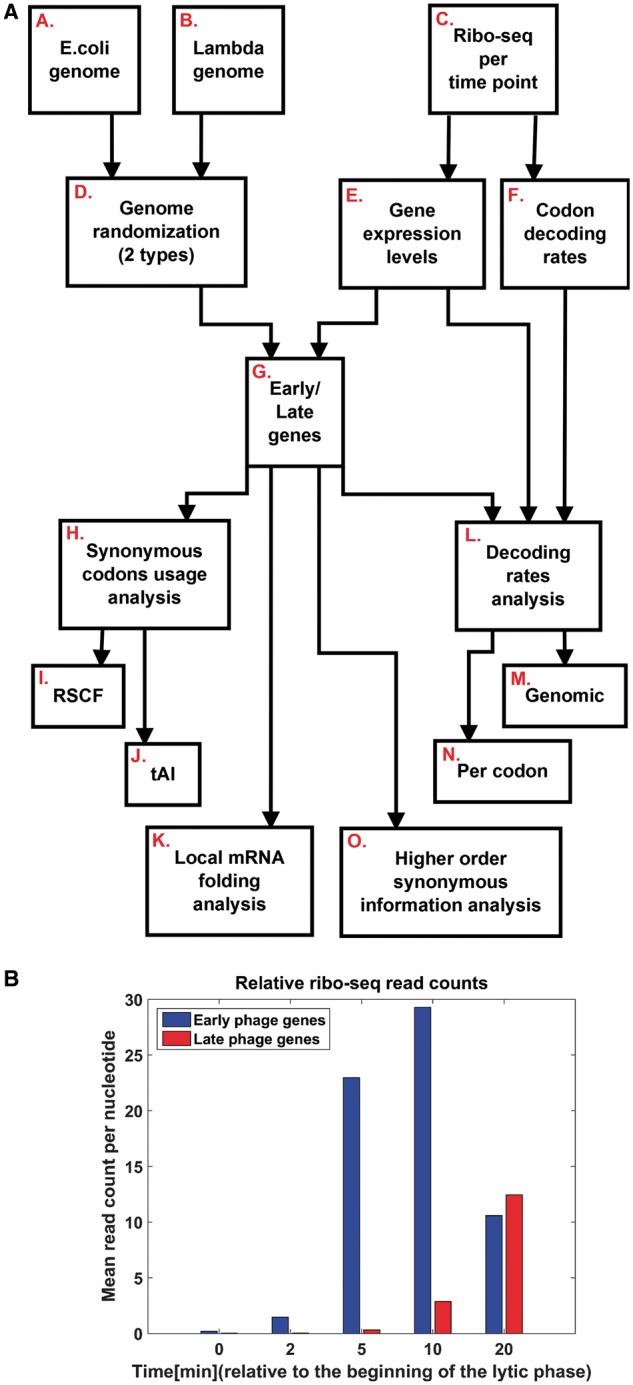 https://cdn.ncbi.nlm.nih.gov/pmc/blobs/dfc2/5737525/6807153aae41/dsx005f1.jpg