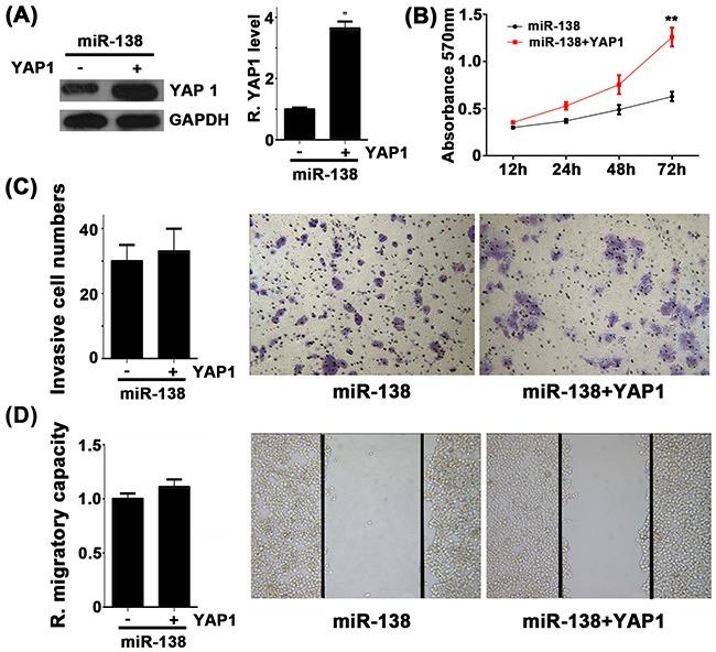https://cdn.ncbi.nlm.nih.gov/pmc/blobs/dfc5/5129990/44bb3257eb62/oncotarget-07-40038-g004.jpg