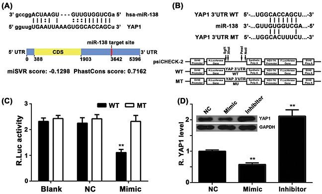 https://cdn.ncbi.nlm.nih.gov/pmc/blobs/dfc5/5129990/5190e4941467/oncotarget-07-40038-g003.jpg