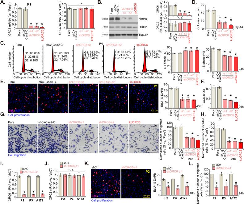 https://cdn.ncbi.nlm.nih.gov/pmc/blobs/dfc7/11227543/0f14c9c67752/41419_2024_6764_Fig4_HTML.jpg