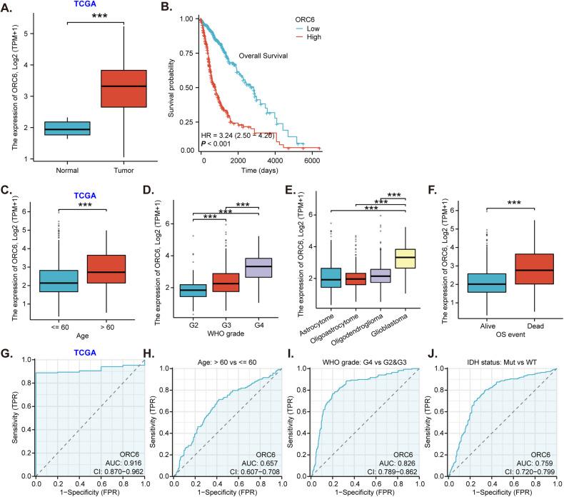 https://cdn.ncbi.nlm.nih.gov/pmc/blobs/dfc7/11227543/501541beb552/41419_2024_6764_Fig1_HTML.jpg