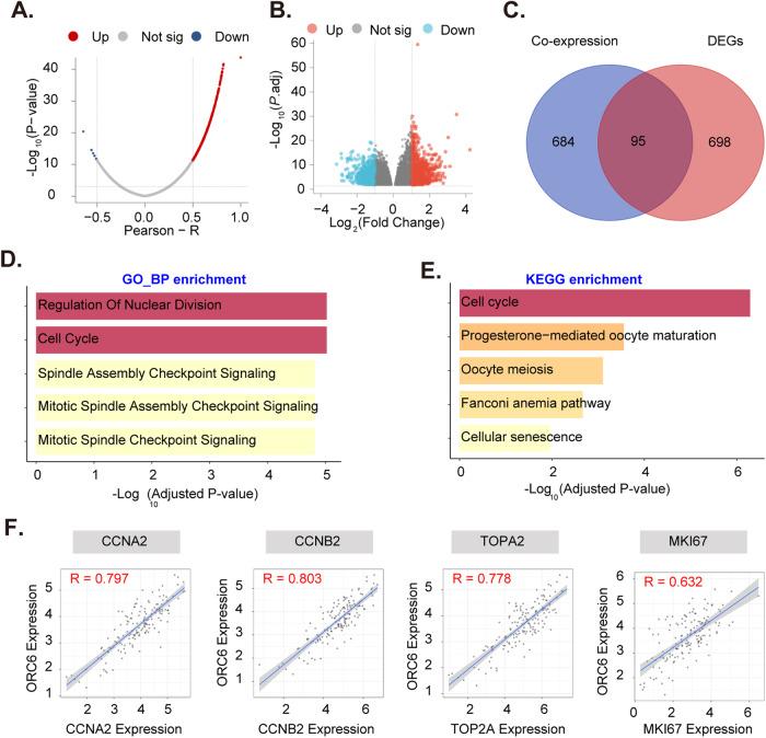 https://cdn.ncbi.nlm.nih.gov/pmc/blobs/dfc7/11227543/e3bdf6a7e419/41419_2024_6764_Fig3_HTML.jpg