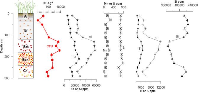 https://cdn.ncbi.nlm.nih.gov/pmc/blobs/dfc8/9126866/292691ad07d7/41598_2022_12795_Fig6_HTML.jpg