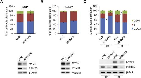 https://cdn.ncbi.nlm.nih.gov/pmc/blobs/dfc9/5528707/43b46add8c86/MOL2-9-617-g006.jpg