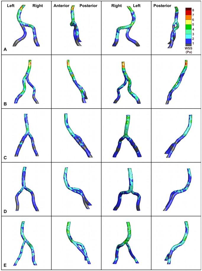 https://cdn.ncbi.nlm.nih.gov/pmc/blobs/dfca/3519605/0d470508eb6d/pone.0051346.g007.jpg