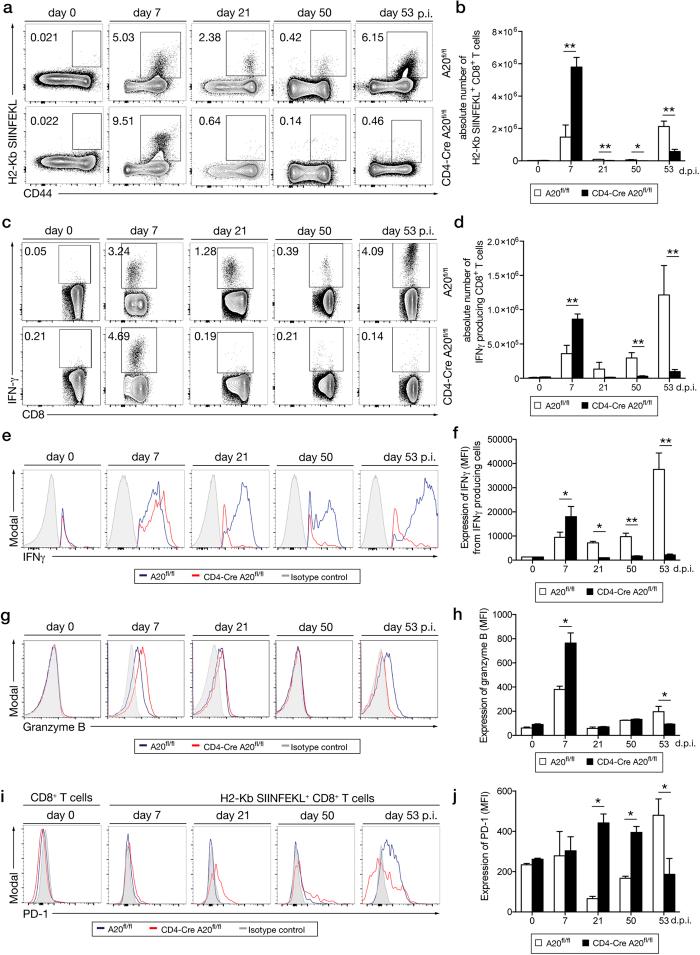 https://cdn.ncbi.nlm.nih.gov/pmc/blobs/dfca/5177869/b4f743ed4652/srep39796-f2.jpg