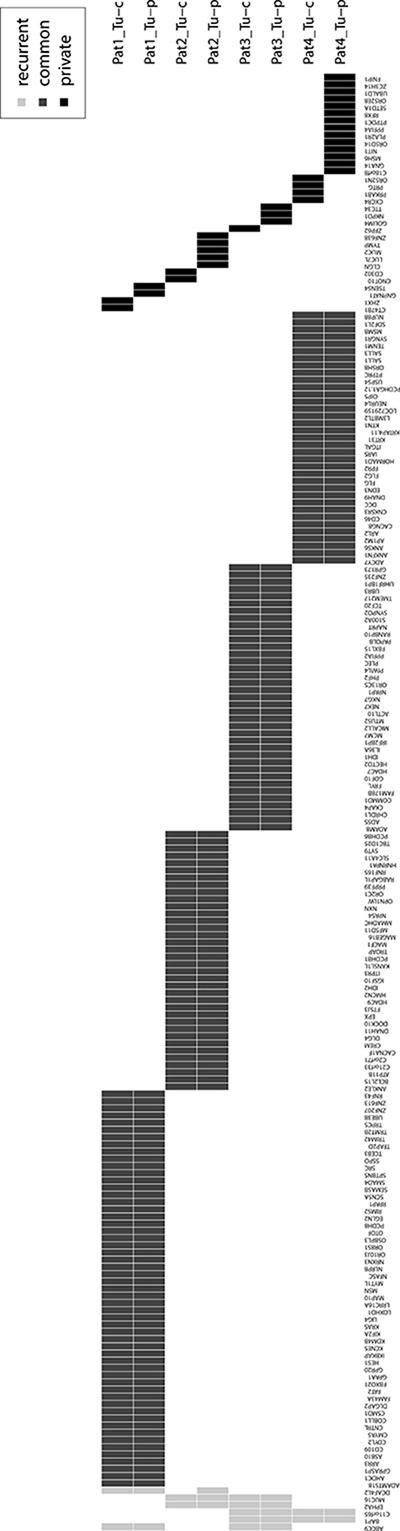 https://cdn.ncbi.nlm.nih.gov/pmc/blobs/dfca/5362457/d76d873c9344/oncotarget-08-14957-g002.jpg