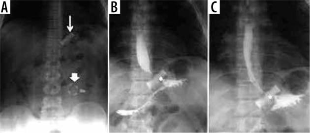 https://cdn.ncbi.nlm.nih.gov/pmc/blobs/dfcc/7976234/dda32d48eb28/PJR-86-43385-g001.jpg