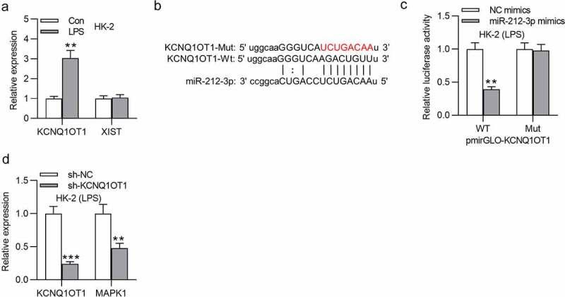 https://cdn.ncbi.nlm.nih.gov/pmc/blobs/dfcc/8810185/04933e717e92/KBIE_A_2005987_F0005_OC.jpg