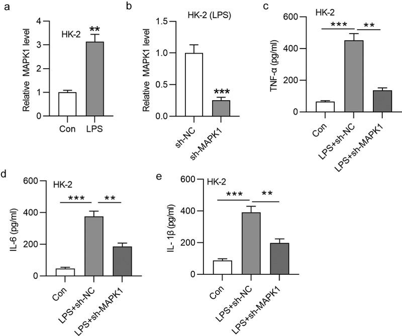 https://cdn.ncbi.nlm.nih.gov/pmc/blobs/dfcc/8810185/06590e0520dc/KBIE_A_2005987_F0001_B.jpg