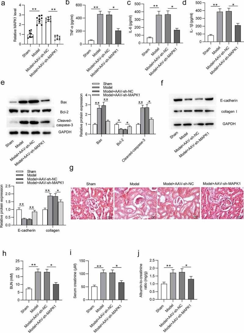 https://cdn.ncbi.nlm.nih.gov/pmc/blobs/dfcc/8810185/1c7c4b241109/KBIE_A_2005987_F0003_OC.jpg