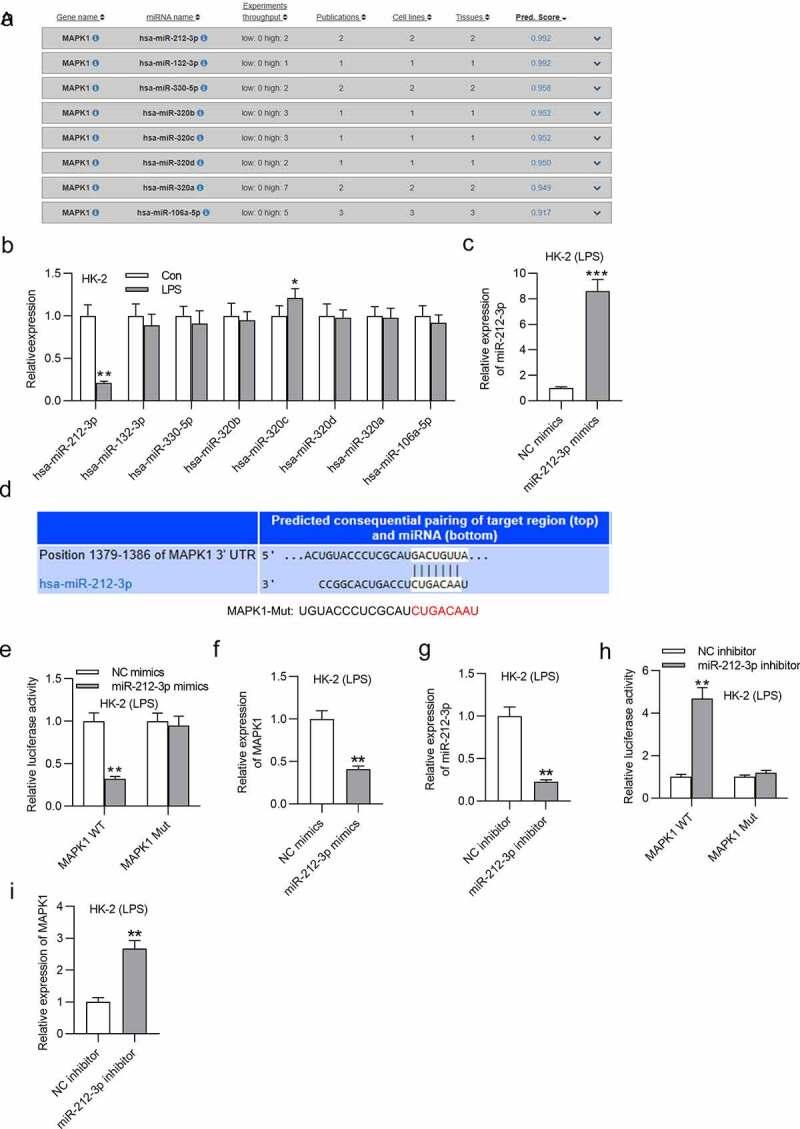 https://cdn.ncbi.nlm.nih.gov/pmc/blobs/dfcc/8810185/3a210dadb6d9/KBIE_A_2005987_F0004_OC.jpg