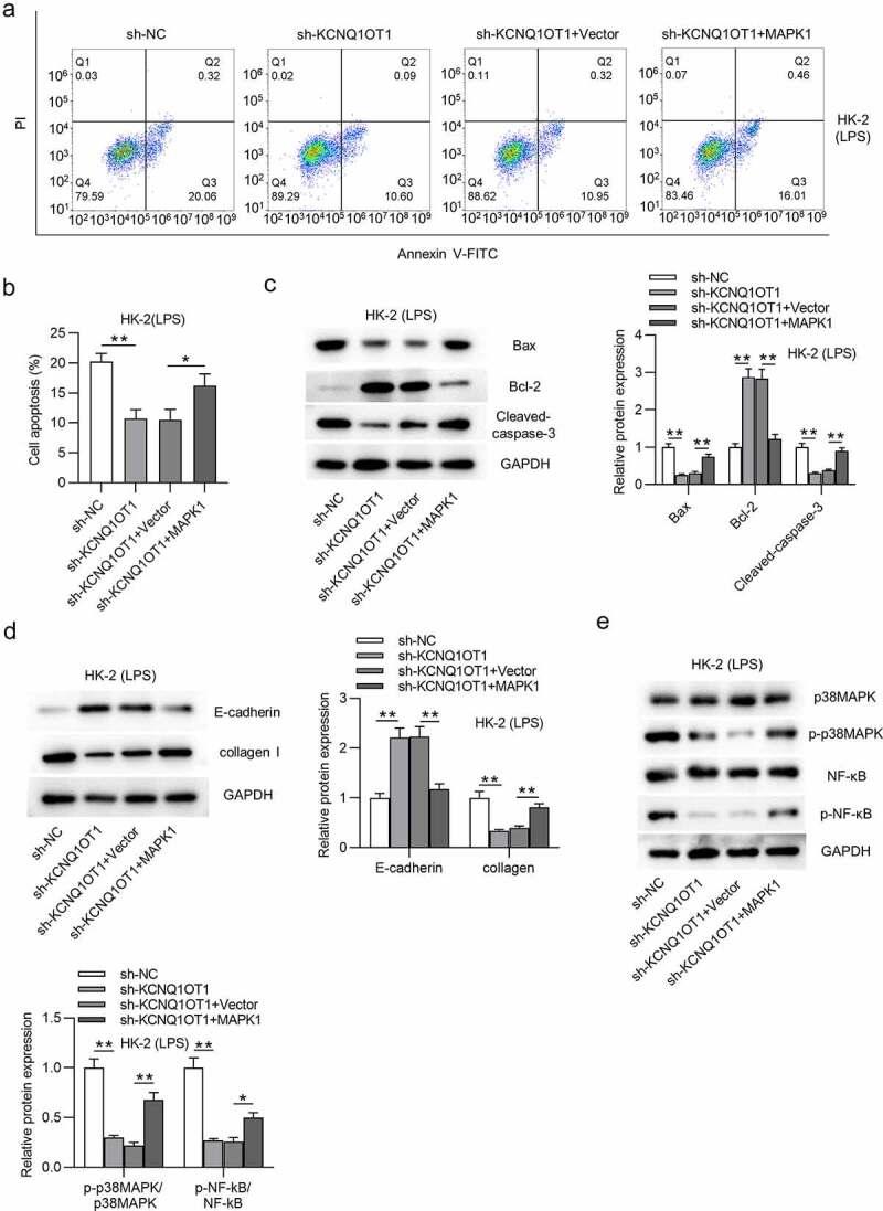 https://cdn.ncbi.nlm.nih.gov/pmc/blobs/dfcc/8810185/548e8b5bb181/KBIE_A_2005987_F0007_OC.jpg