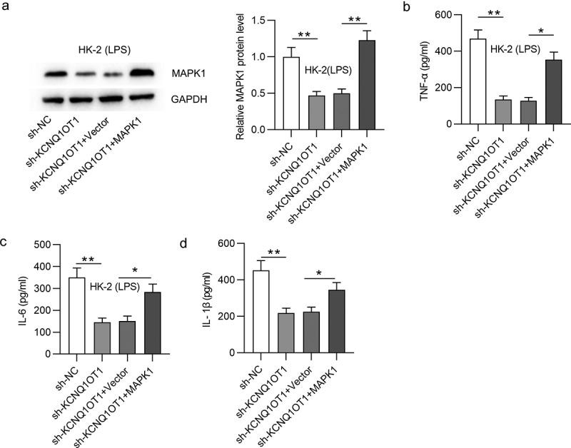 https://cdn.ncbi.nlm.nih.gov/pmc/blobs/dfcc/8810185/ca107f7153ba/KBIE_A_2005987_F0006_B.jpg