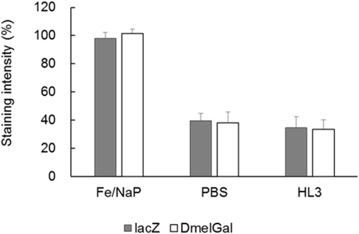 https://cdn.ncbi.nlm.nih.gov/pmc/blobs/dfcd/5801911/e55739632e10/gr3.jpg