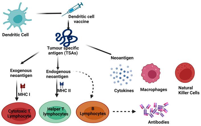 https://cdn.ncbi.nlm.nih.gov/pmc/blobs/dfcf/11125796/691c9b44dffb/vaccines-12-00498-g001.jpg