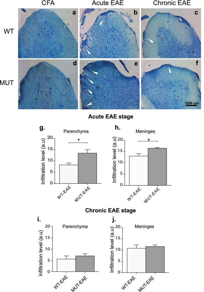 https://cdn.ncbi.nlm.nih.gov/pmc/blobs/dfd0/8155097/1c3d5d506541/41598_2021_90517_Fig6_HTML.jpg