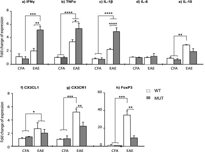 https://cdn.ncbi.nlm.nih.gov/pmc/blobs/dfd0/8155097/ace1e365f5d5/41598_2021_90517_Fig8_HTML.jpg