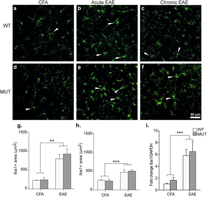 https://cdn.ncbi.nlm.nih.gov/pmc/blobs/dfd0/8155097/bc4192909936/41598_2021_90517_Fig7_HTML.jpg