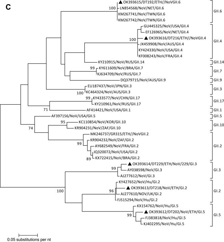 https://cdn.ncbi.nlm.nih.gov/pmc/blobs/dfd0/9035461/71605b3d2d4f/IDR-15-1981-g0003.jpg