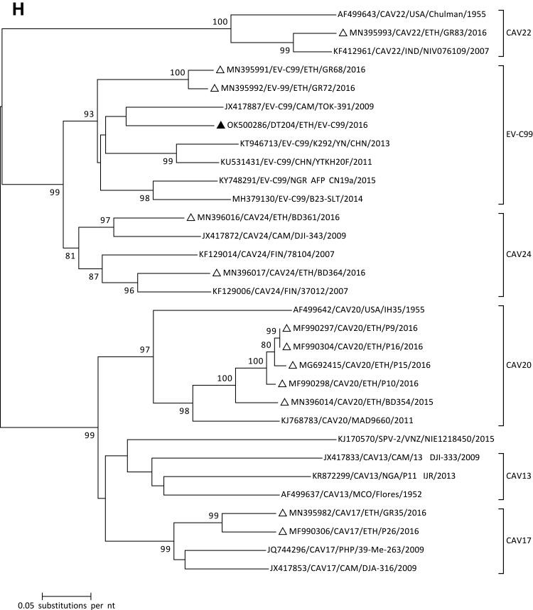 https://cdn.ncbi.nlm.nih.gov/pmc/blobs/dfd0/9035461/d2e14871edb0/IDR-15-1981-g0008.jpg