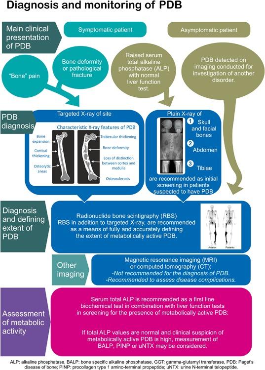 https://cdn.ncbi.nlm.nih.gov/pmc/blobs/dfd4/6850043/f12451d30656/JBMR-34-579-g002.jpg