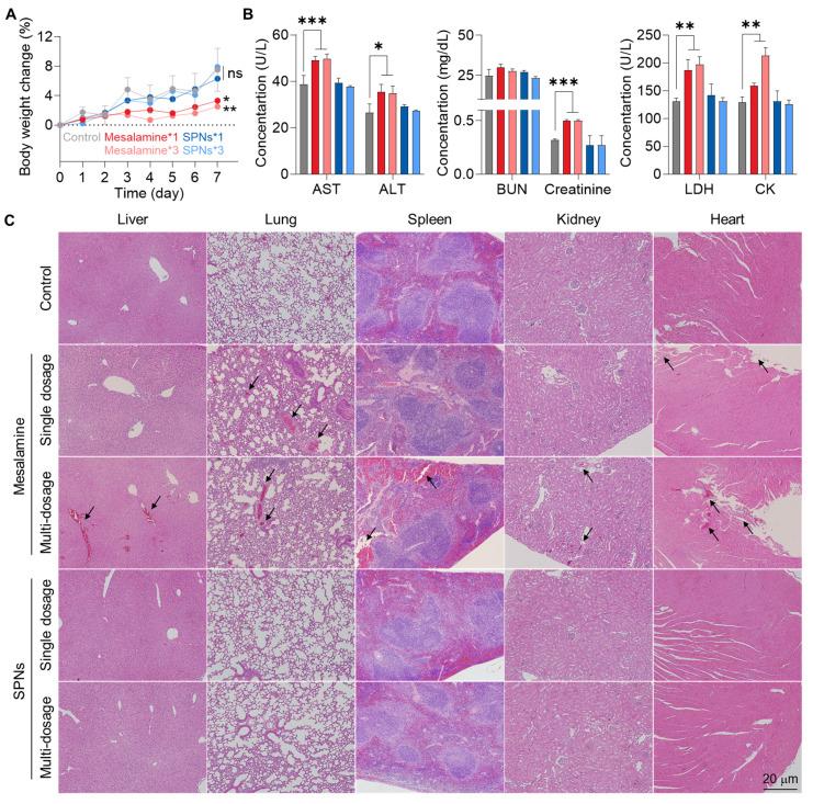 https://cdn.ncbi.nlm.nih.gov/pmc/blobs/dfd8/11700871/171b7c59bc05/thnov15p1122g007.jpg