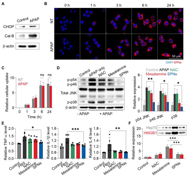 https://cdn.ncbi.nlm.nih.gov/pmc/blobs/dfd8/11700871/591e35f1e6b1/thnov15p1122g003.jpg