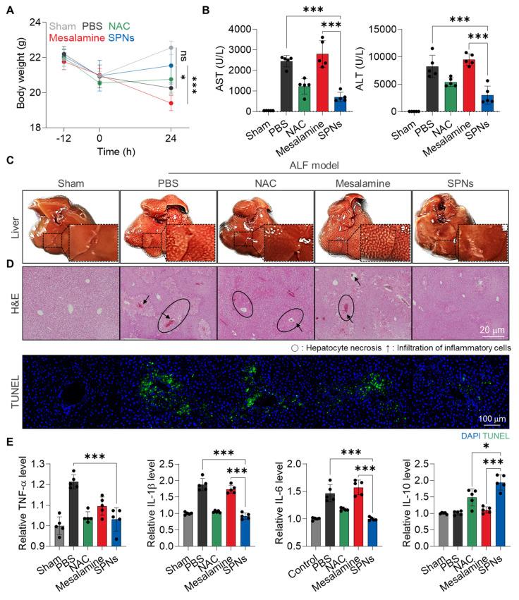 https://cdn.ncbi.nlm.nih.gov/pmc/blobs/dfd8/11700871/6bca7e376063/thnov15p1122g005.jpg