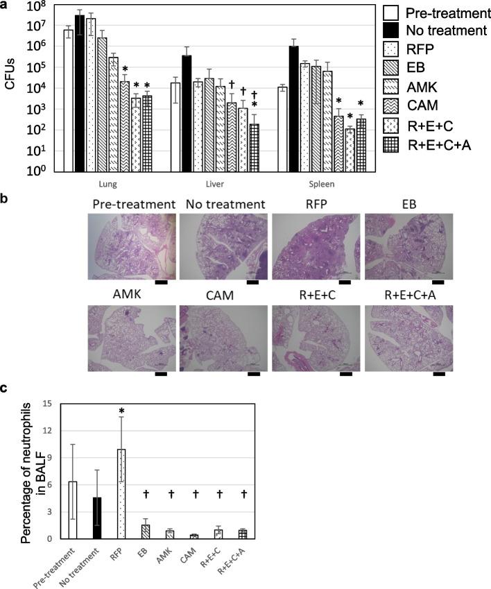 https://cdn.ncbi.nlm.nih.gov/pmc/blobs/dfda/10069106/72ce525c0acc/12866_2023_2831_Fig5_HTML.jpg