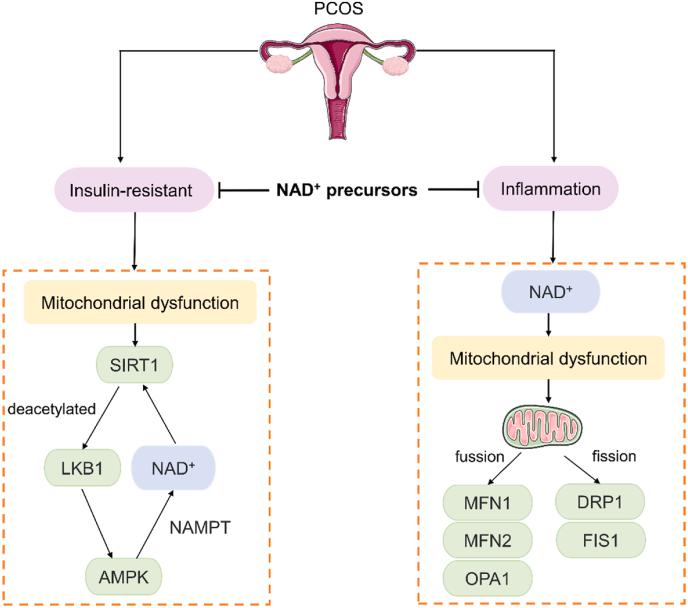 https://cdn.ncbi.nlm.nih.gov/pmc/blobs/dfda/11063225/45b8f86b59db/gr3.jpg