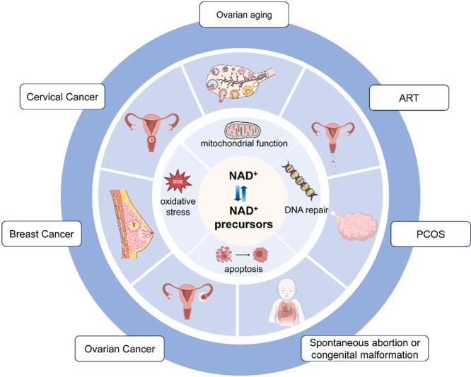 https://cdn.ncbi.nlm.nih.gov/pmc/blobs/dfda/11063225/4b108be3d476/ga1.jpg