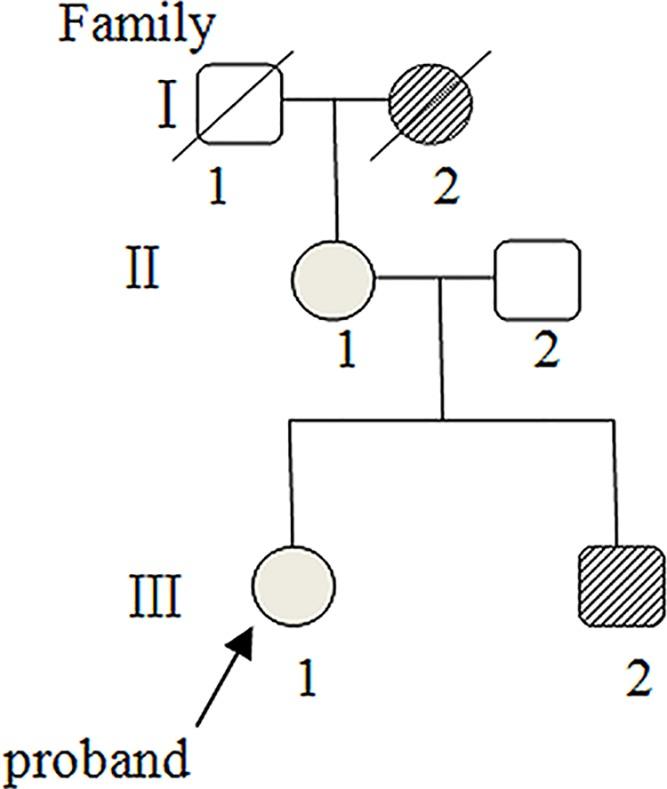 https://cdn.ncbi.nlm.nih.gov/pmc/blobs/dfda/6658722/0738029d2ba8/bsr-39-bsr20181409-g1.jpg
