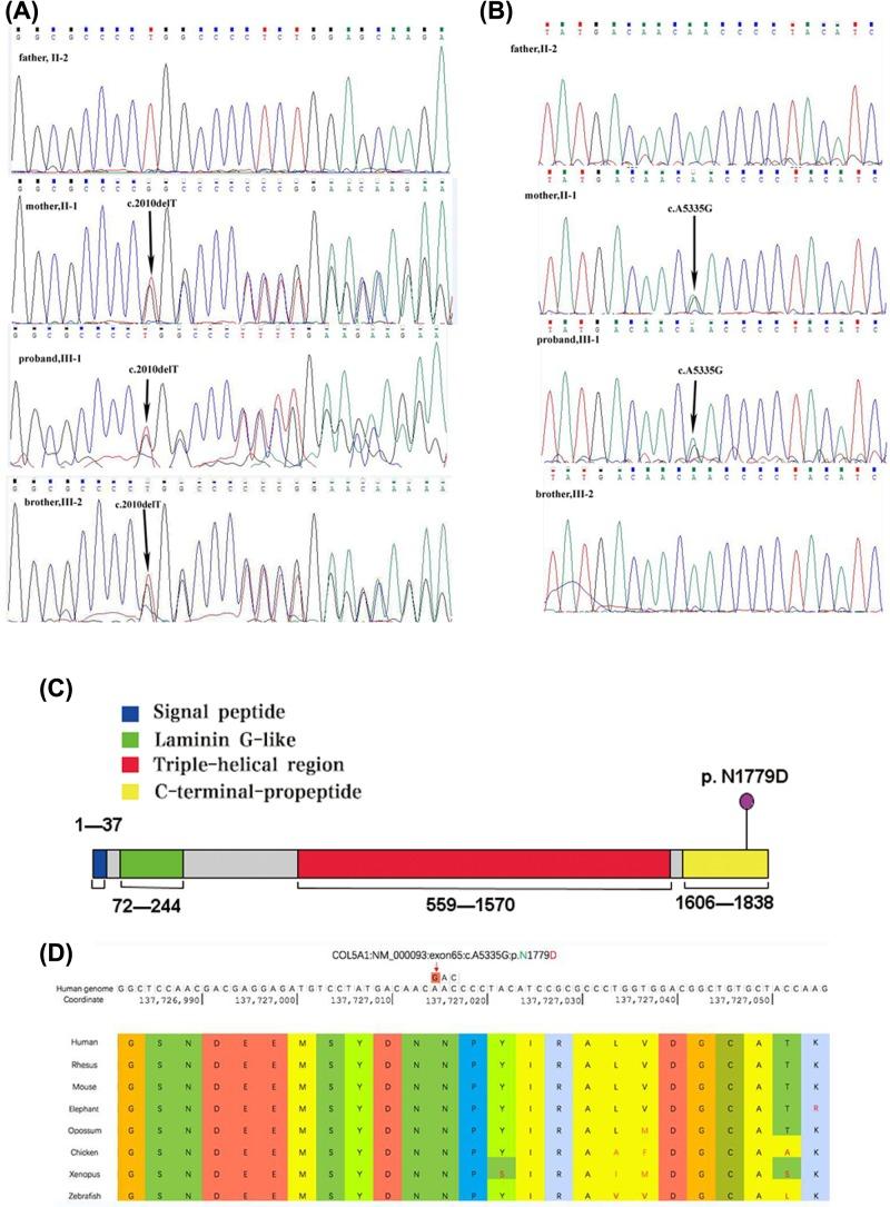 https://cdn.ncbi.nlm.nih.gov/pmc/blobs/dfda/6658722/6240cbeead59/bsr-39-bsr20181409-g3.jpg