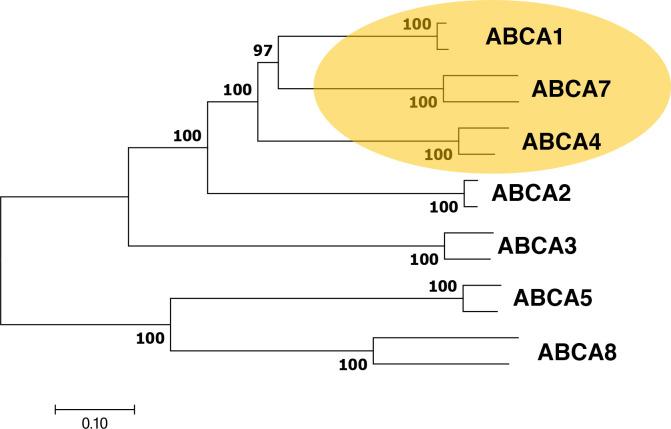 https://cdn.ncbi.nlm.nih.gov/pmc/blobs/dfdb/8815970/e5639f504bf0/pone.0262746.g001.jpg