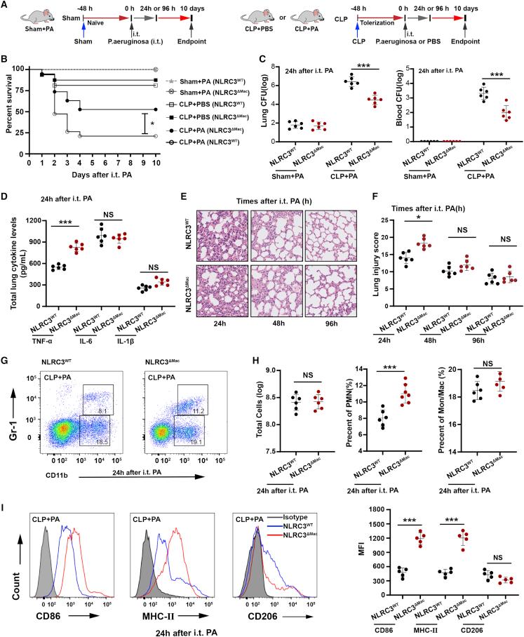 https://cdn.ncbi.nlm.nih.gov/pmc/blobs/dfdc/9840117/b77bcfa6a271/gr2.jpg