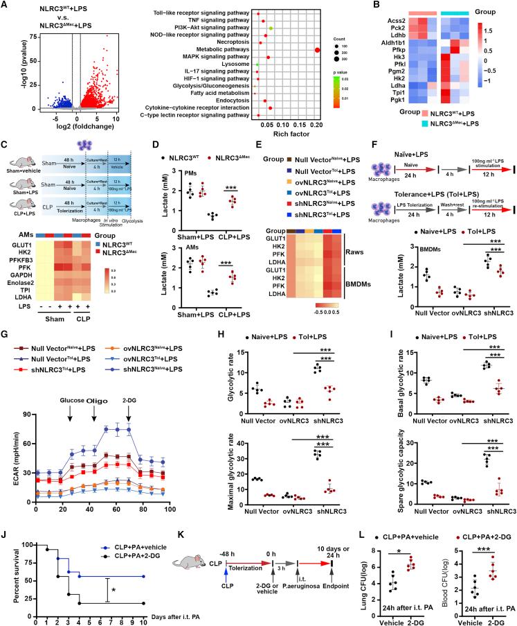 https://cdn.ncbi.nlm.nih.gov/pmc/blobs/dfdc/9840117/dd3936a26af0/gr3.jpg