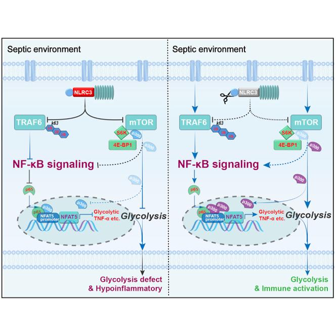 https://cdn.ncbi.nlm.nih.gov/pmc/blobs/dfdc/9840117/f4ac388bd16b/fx1.jpg