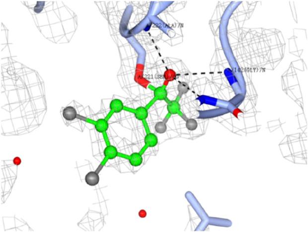 https://cdn.ncbi.nlm.nih.gov/pmc/blobs/dfdd/11649397/e763b93b979f/fchem-12-1504453-g004.jpg