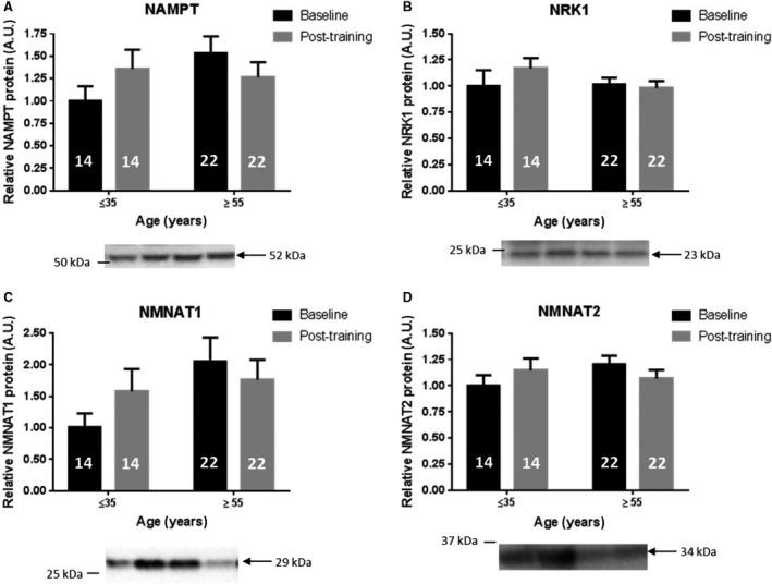 https://cdn.ncbi.nlm.nih.gov/pmc/blobs/dfdf/6577427/b1a6c0580a48/PHY2-7-e14139-g005.jpg