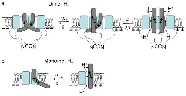https://cdn.ncbi.nlm.nih.gov/pmc/blobs/dfe0/2935852/ad76ebd6c5ed/nihms-223138-f0006.jpg