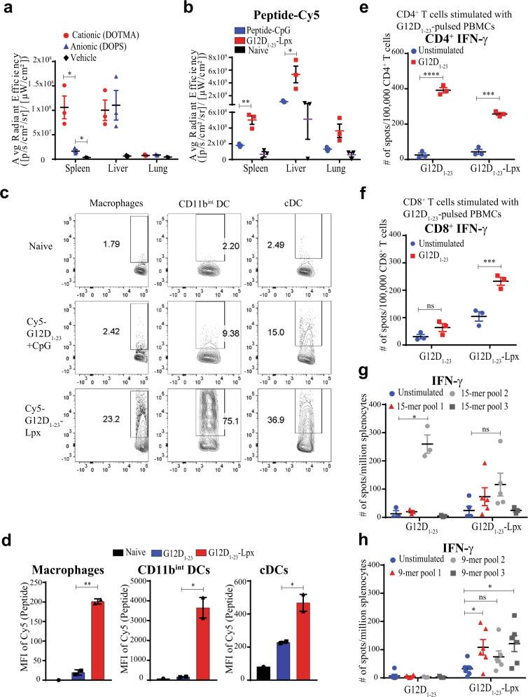 https://cdn.ncbi.nlm.nih.gov/pmc/blobs/dfe0/7661730/e9317ec0e1d8/41541_2020_253_Fig2_HTML.jpg