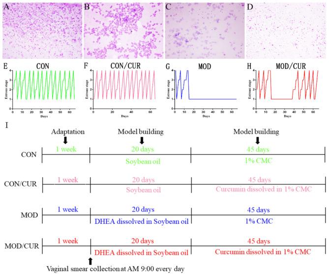 https://cdn.ncbi.nlm.nih.gov/pmc/blobs/dfe1/11609283/147f47362814/41598_2024_81034_Fig1_HTML.jpg
