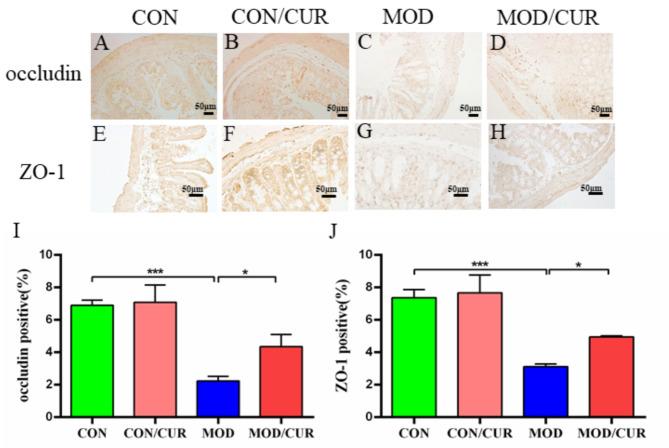 https://cdn.ncbi.nlm.nih.gov/pmc/blobs/dfe1/11609283/4899205552ae/41598_2024_81034_Fig5_HTML.jpg