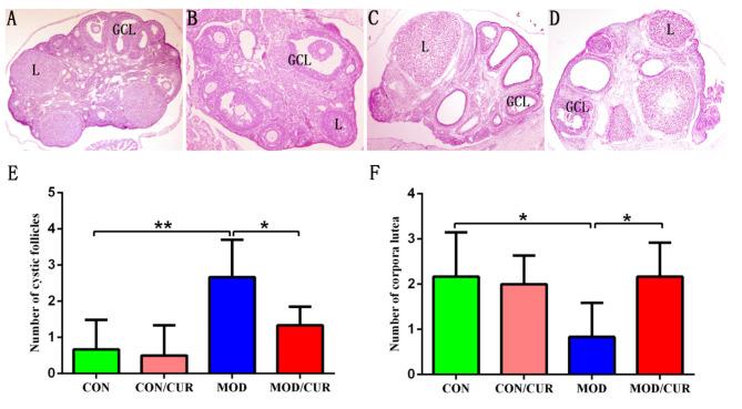 https://cdn.ncbi.nlm.nih.gov/pmc/blobs/dfe1/11609283/66f715b59893/41598_2024_81034_Fig2_HTML.jpg