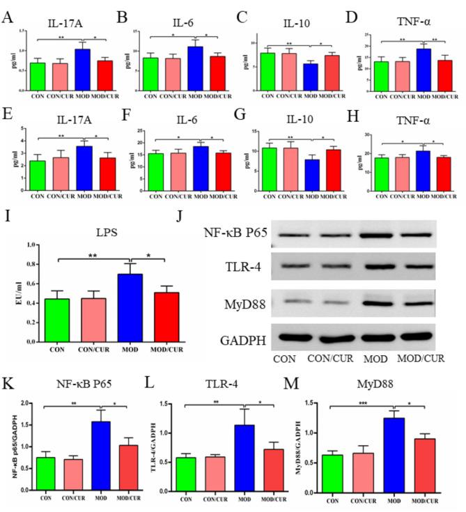 https://cdn.ncbi.nlm.nih.gov/pmc/blobs/dfe1/11609283/8423b90d77de/41598_2024_81034_Fig6_HTML.jpg